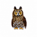 Owl Embroidered Iron-on Patch